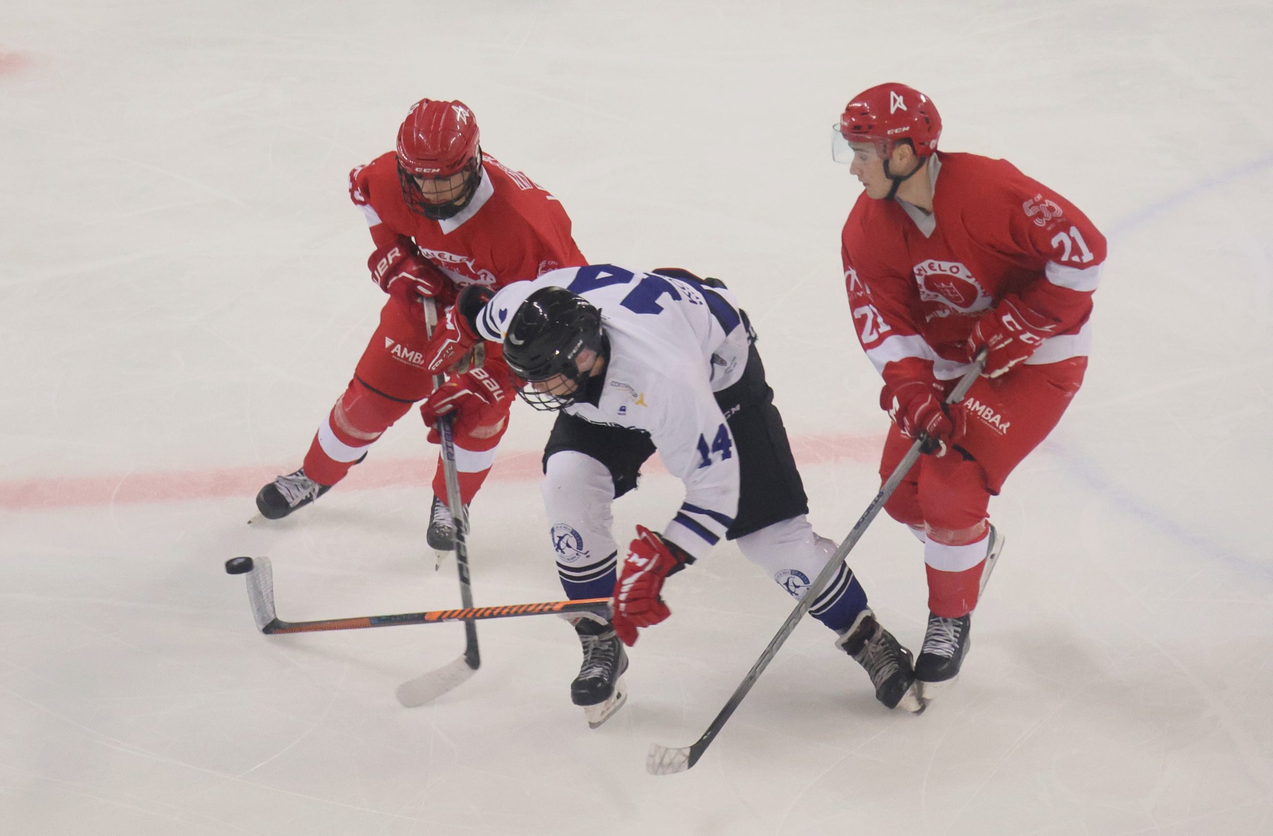 El Club Hielo Jaca, anfitrión de la ‘final four’ de la Copa del Rey